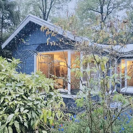 Cosy Forest * プッテン