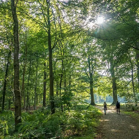 Cosy Forest Alpehytte Putten