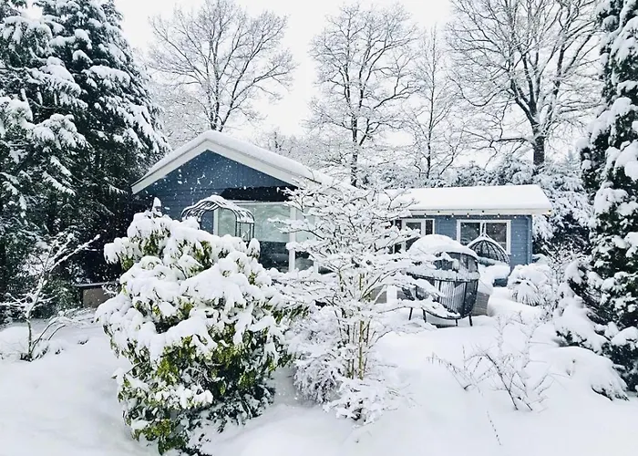 Cosy Forest Alpehytte Putten