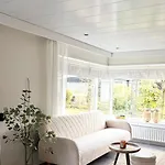Cosy Forest